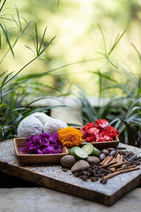 Vije Boutique Resort & Spa Ubud Exterior foto